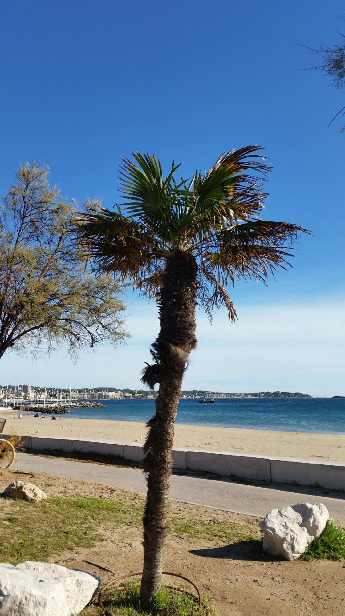 Sublime Vue Mer,Parking,Wifi Фрежюс Экстерьер фото